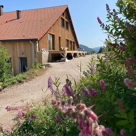 Lysgaardcottage 360 Sauna Bar Dancing 25v Chalet